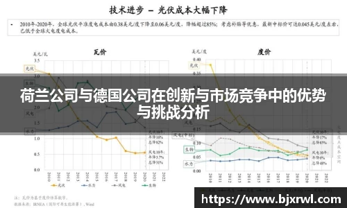 荷兰公司与德国公司在创新与市场竞争中的优势与挑战分析